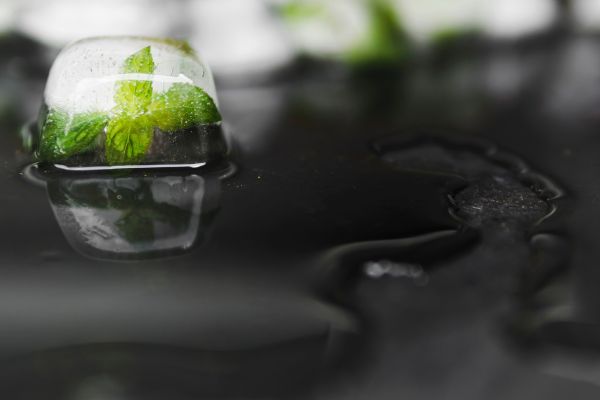 Carbon Credits Carbon Credits