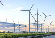 TNGECL Plans Online Portal for New Renewable Energy Projects TNGECL renewable energy portal